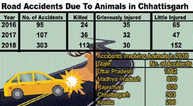 Road Accidents Involving Stray Animals Rise By 3 Times In C garh The Hitavada
