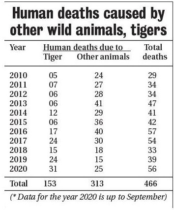 Mah registers highest human deaths caused by wild animals since 2010