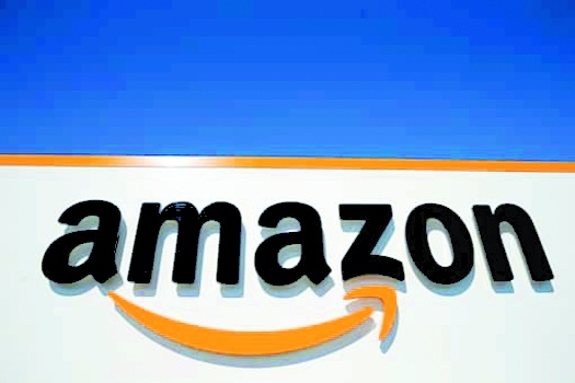 Dispose of Amazon issue within two weeks: High Court to CCI - The Hitavada