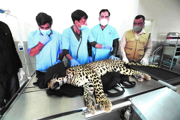 Gwalior  Animals, Zoo, Gwalior