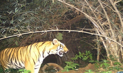 Indravati Reserve