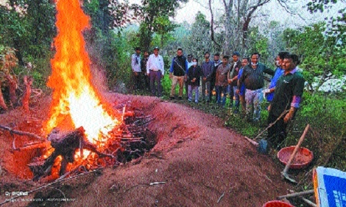 Pench Tiger Reserve