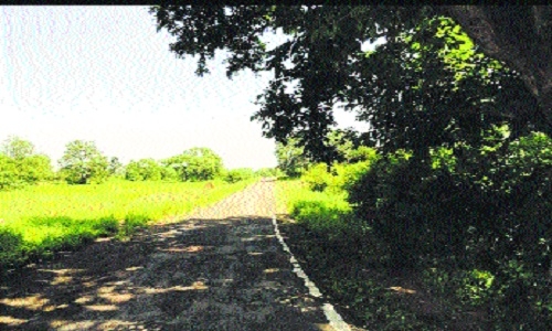 Ratapani Jungle Safari