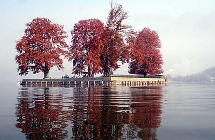 Char Chinar