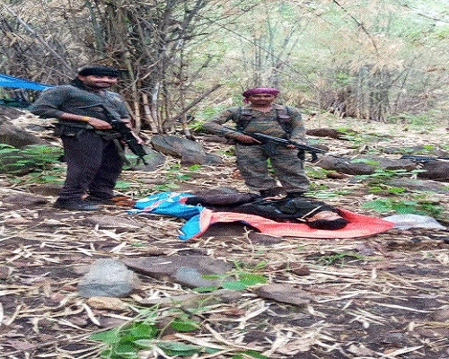 3 Hardcore Naxals Killed In Encounter In Balaghat Distt - The Hitavada