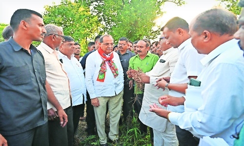 Revenue Minister inspects