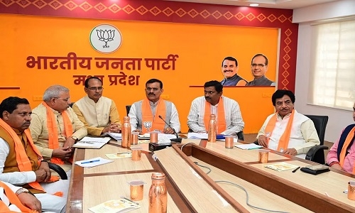 BJP core panel discusses 