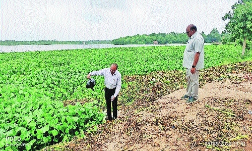 Waste water from Hingna MIDC