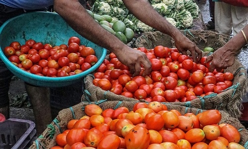 Tomato prices