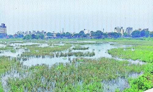 Gandhisagar lake