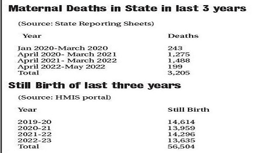 Nagpur tops in maternal1