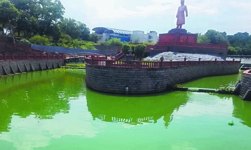 pollutes Ambazari Lake