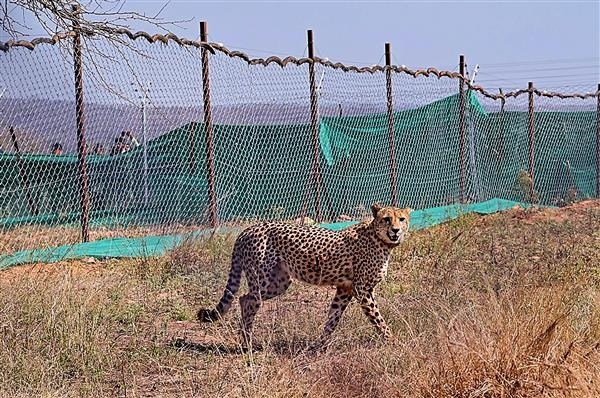 Namibia