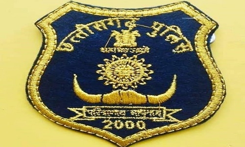 Acting DGP post