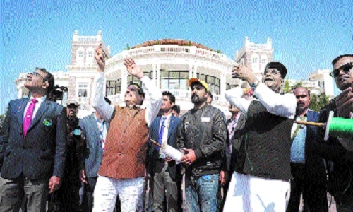 Kite festival Sankranti 