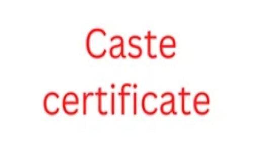 Caste certificate panels 