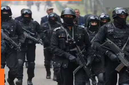 NSG to be relieved from VIP security tasks: Sources