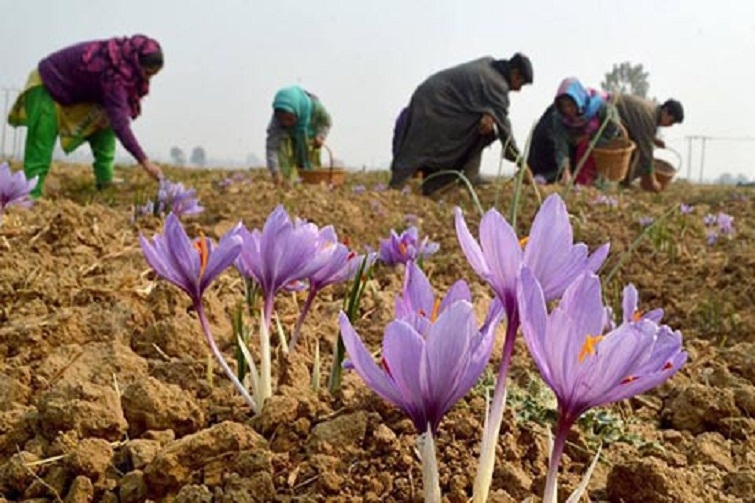 Innovative farming method