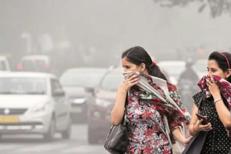 Shrouded in thick smog, Delhi gasps for air