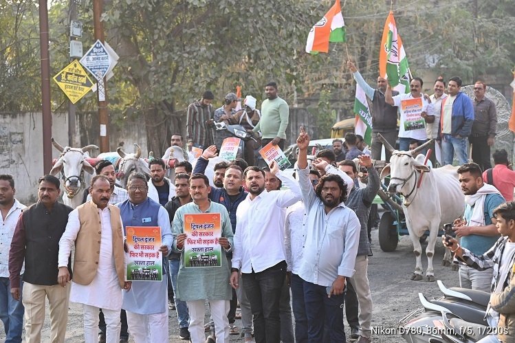 Cong takes out bullock cart rally protesting against