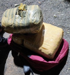 Couple arrested with 11 kg Ganja