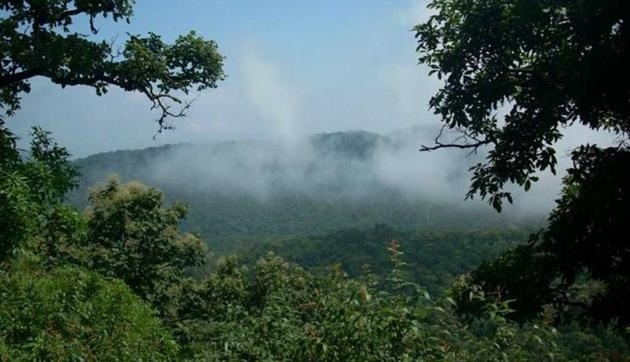 Vidarbhas forest cover increases