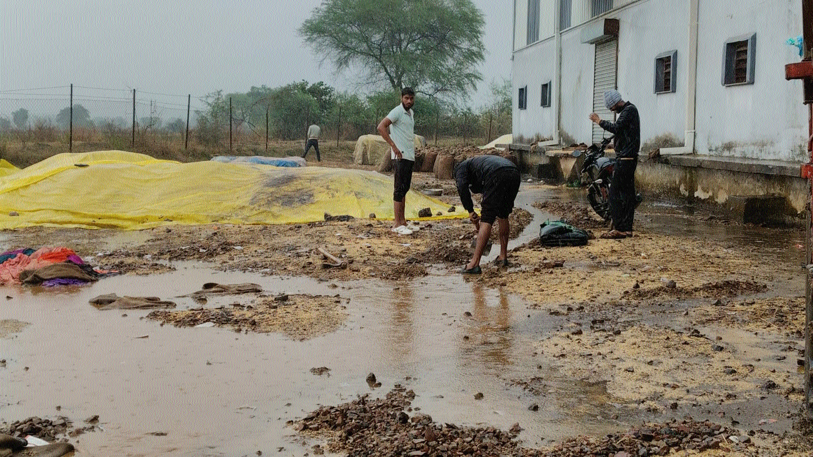 ...leave behind trail of destruction  at several procurement centres 