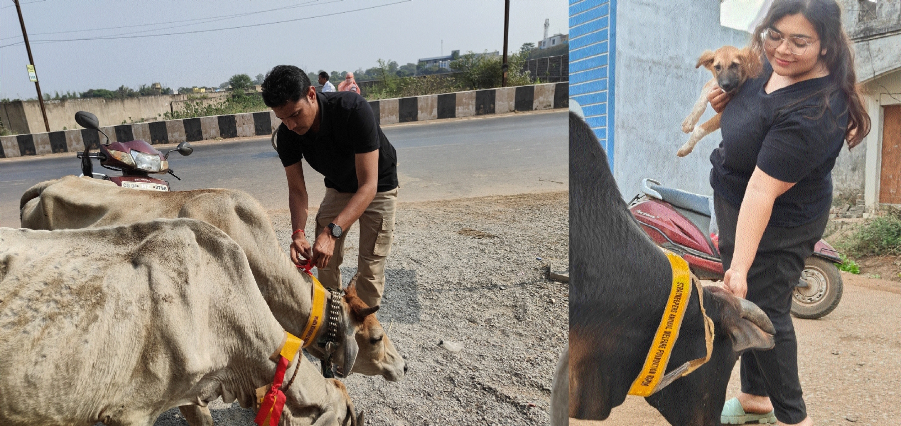 Stray keepers hold reflective collar drive to honour Ratan Tata