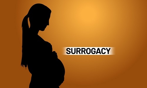 surrogacy case