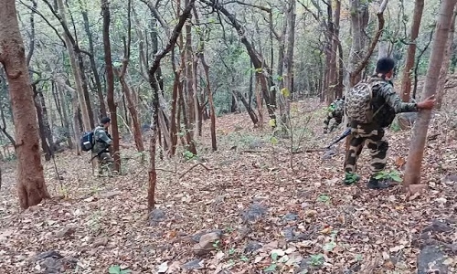 7 Naxals Killed In Chhattisgarh Encounter - The Hitavada