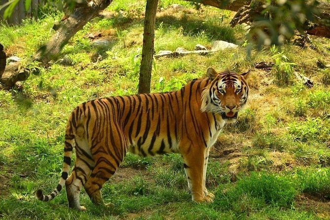 Panna Tiger Reserve