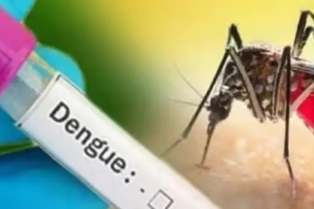 Dengue, chikungunya cases on rise due to water-logging