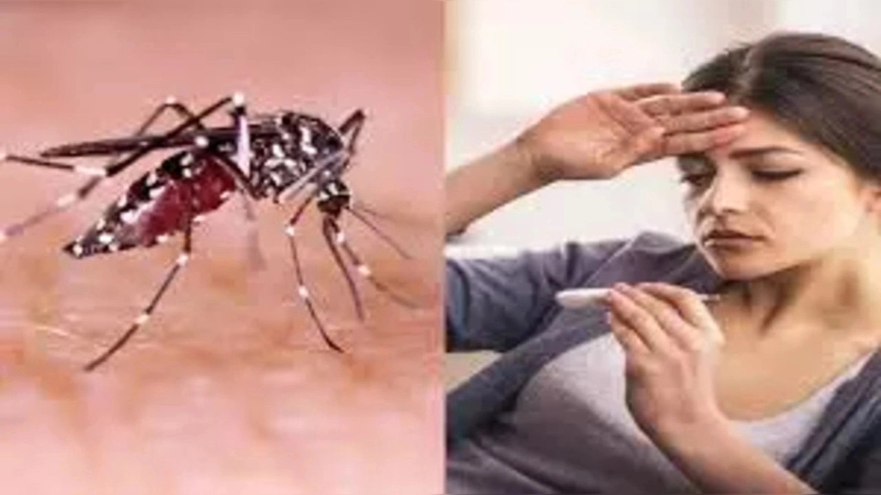 ON RISING DENGUE