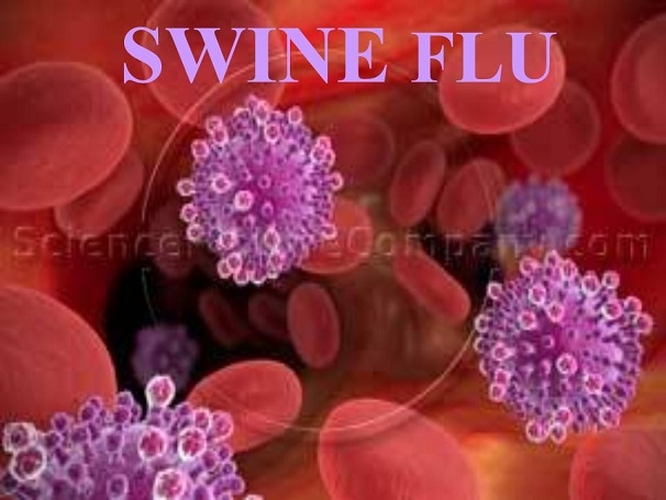 swine flu death 