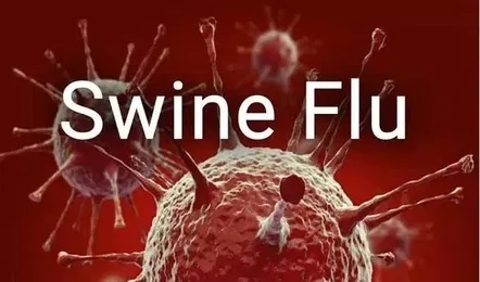 Swine flu