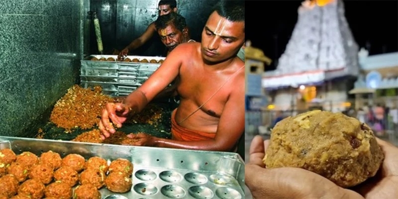 Tirupati laddu prasadam